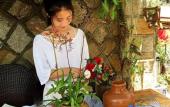 Туры в отель Me Town House