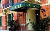 Туры в отель Hotel Amadeus Dresden
