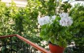 Туры в отель Boutique Hotel Elysium