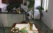 Туры в отель Gostevoy Dom Kia Guest Home