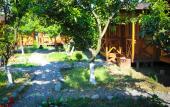 Туры в отель Teremki Recreation Camp