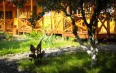 Туры в отель Teremki Recreation Camp