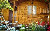 Туры в отель Teremki Recreation Camp