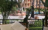 Туры в отель Alicante Golf