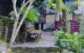 Туры в отель Domik U Galiny Guest house