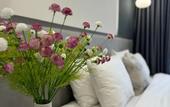Туры в отель Hotel Ser In Hotel