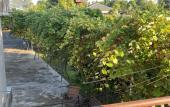 Туры в отель Dom u voln Private house