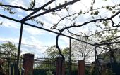 Туры в отель Alkha Guest House