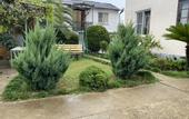Туры в отель Solomon Guest House