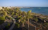 Туры в отель Dreams Lanzarote Playa Dorada Resort & Spa