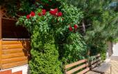 Туры в отель Semeyny Guest house