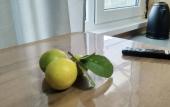 Туры в отель Mandarinka Mini-Hotel