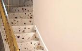 Туры в отель Apeiron Acropolis Suites