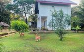 Туры в отель Thuru Sevana Villa