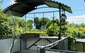 Туры в отель Bugenvilliya Guest House