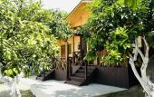 Туры в отель Bugenvilliya Guest House