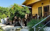 Туры в отель Bugenvilliya Guest House