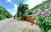 Туры в отель Dachalora Guest House