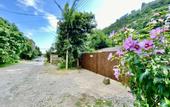 Туры в отель Dachalora Guest House