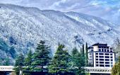 Туры в отель Dachalora Guest House