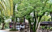 Туры в отель Dachalora Guest House