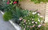 Туры в отель Lotos Guest house