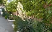 Туры в отель Lotos Guest house