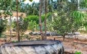 Туры в отель Squad 101,  world-class military-themed fitness & weight loss boot camp/retreat/hotel