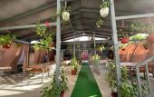Туры в отель Alisa Guest house