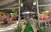 Туры в отель Alisa Guest house