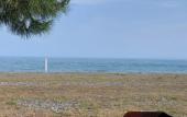 Туры в отель Sosnovy Bor Resort