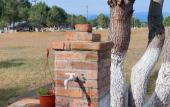 Туры в отель Sosnovy Bor Resort