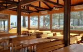 Туры в отель Sosnovy Bor Resort