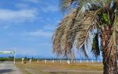 Туры в отель Sosnovy Bor Resort
