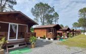 Туры в отель Sosnovy Bor Resort