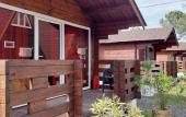 Туры в отель Sosnovy Bor Resort