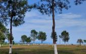 Туры в отель Sosnovy Bor Resort