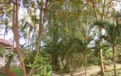 Туры в отель Lien Hiep Thanh Resort