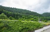 Туры в отель Skala Parus Alt Apartments