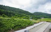 Туры в отель Skala Parus Alt Apartments