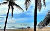 Туры в отель Golf-Sea-City Guest House