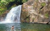 Туры в отель Sinharaja Serenity Retreat