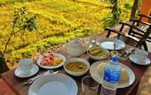 Туры в отель Sinharaja Serenity Retreat
