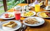 Туры в отель Sinharaja Serenity Retreat