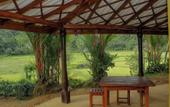 Туры в отель Sinharaja Serenity Retreat