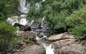 Туры в отель Sinharaja Serenity Retreat