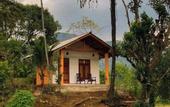 Туры в отель Sinharaja Serenity Retreat
