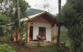 Туры в отель Sinharaja Serenity Retreat