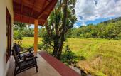 Туры в отель Sinharaja Serenity Retreat