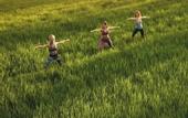 Туры в отель Sinharaja Serenity Retreat
